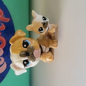 Littlest Pet Shop LPS# 3587 & 3588 Mommy and Baby Bulldog brown and white